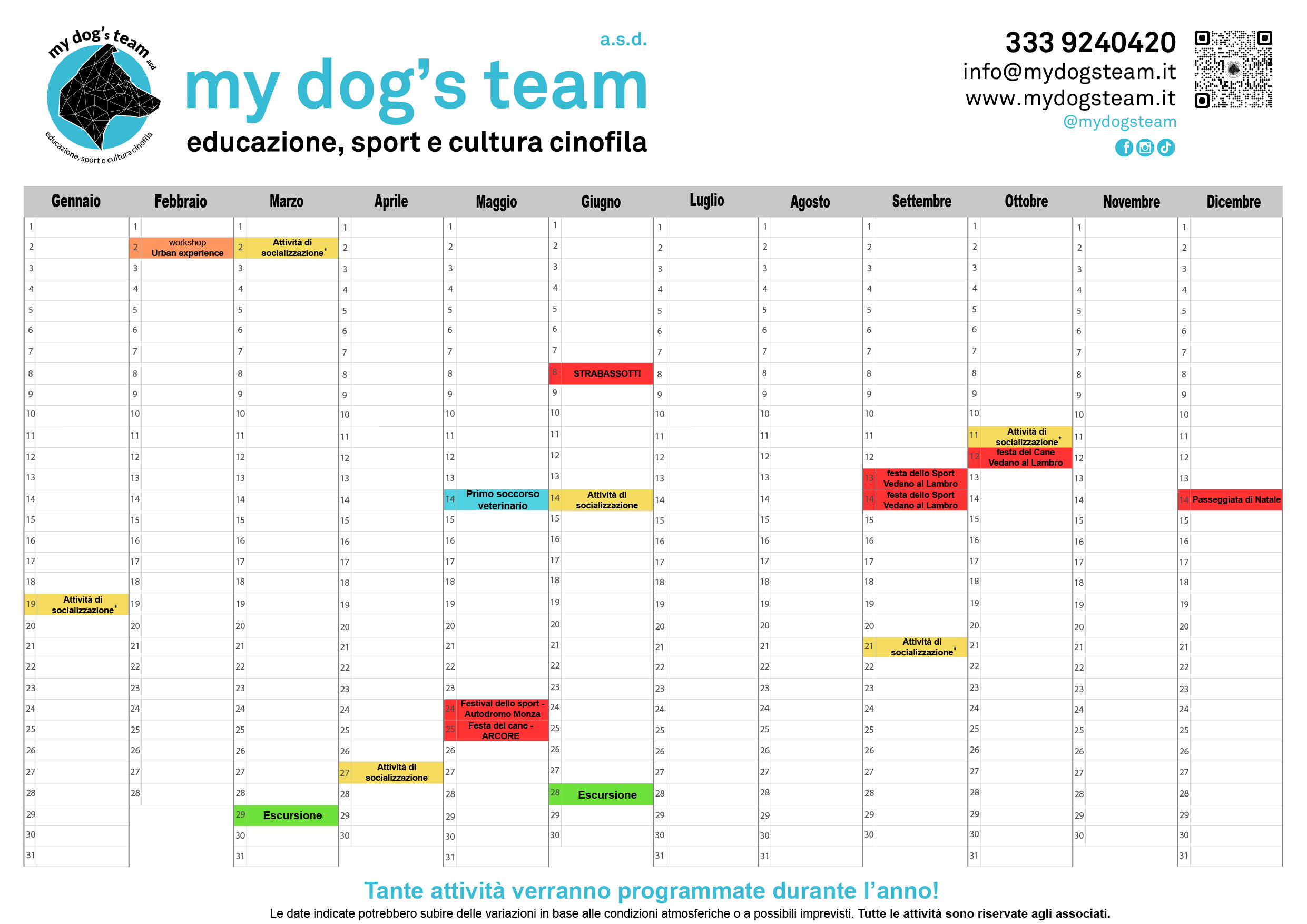 My dog's team